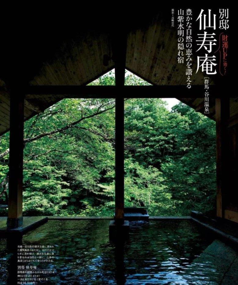 强大的狮子拼图